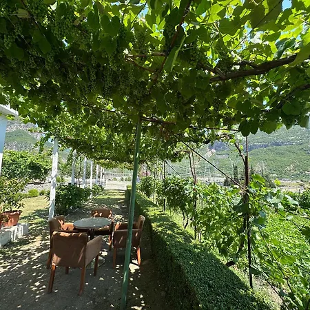Casa vacanze The Peaceful Of Koman