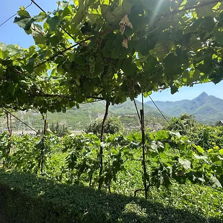 The Peaceful Of Koman * Gushte