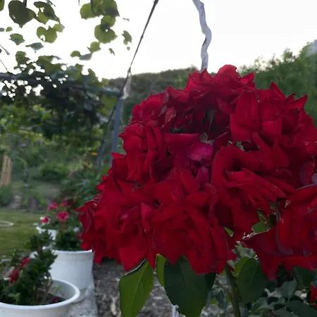 The Peaceful Of Koman Gushte